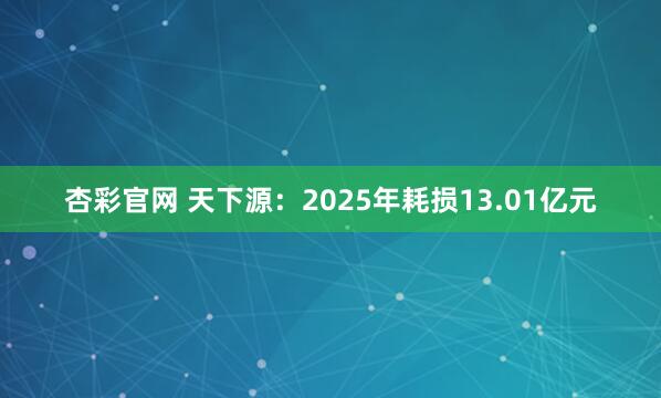 杏彩官网 天下源：2025年耗损13.01亿元