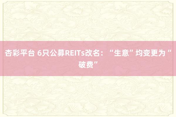 杏彩平台 6只公募REITs改名：“生意”均变更为“破费”