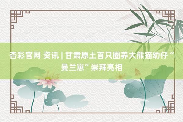 杏彩官网 资讯 | 甘肃原土首只圈养大熊猫幼仔“曼兰崽”崇拜亮相