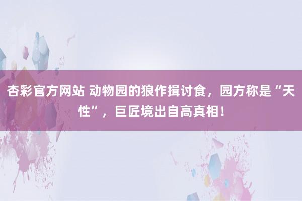 杏彩官方网站 动物园的狼作揖讨食，园方称是“天性”，巨匠境出自高真相！