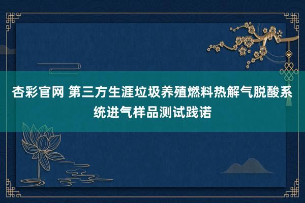 杏彩官网 第三方生涯垃圾养殖燃料热解气脱酸系统进气样品测试践诺