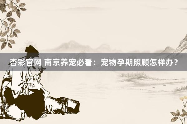 杏彩官网 南京养宠必看：宠物孕期照顾怎样办？