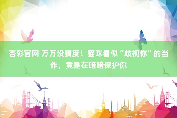 杏彩官网 万万没猜度！猫咪看似“歧视你”的当作，竟是在暗暗保护你