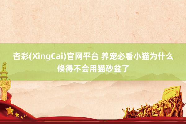 杏彩(XingCai)官网平台 养宠必看小猫为什么倏得不会用猫砂盆了