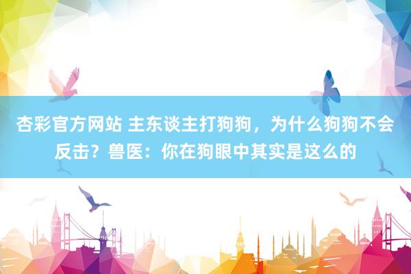 杏彩官方网站 主东谈主打狗狗，为什么狗狗不会反击？兽医：你在狗眼中其实是这么的