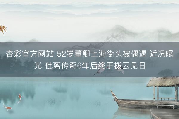 杏彩官方网站 52岁董卿上海街头被偶遇 近况曝光 仳离传奇6年后终于拨云见日